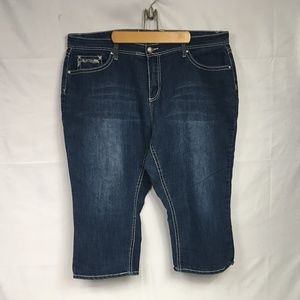 Cato Premium Jeans Dark Wash 22W
